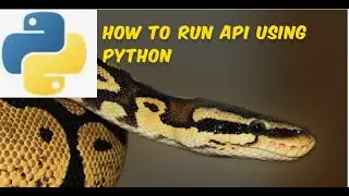 Run API Call Using Python 