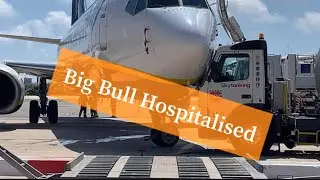 RYANAIR B737 Hits| Malta Airport | cargoviation