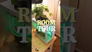 The Most Aesthetic Room On The Internet ( Room Tour )