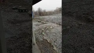 СНЕГ КРУЖИТСЯ ЛЕТАЕТ, ЛЕТАЕТ...
