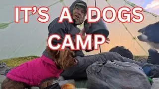 Wild camping with my dogs and Optimus Nova stove | Part 1