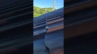 Metal Roof, Sunny side vs Shady side (Dry vs Wet, Morning)