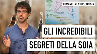 Gli incredibili segreti della soia
