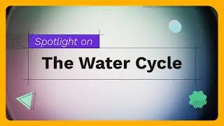 The Water Cycle