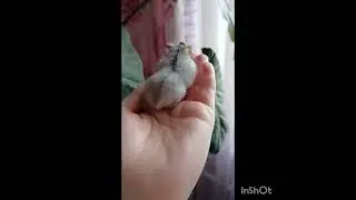 Мальчик или девочка?