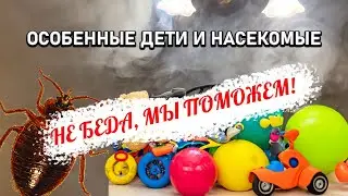 Помогаем вывести клопов семье с ребенокм-инвалидом