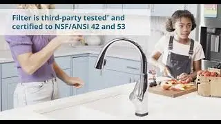 Elkay ERF750 750-gallon Water Filter