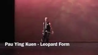 Choy Li Fut - Pau Ying Kuen   Leopard Form