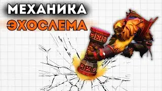 HOW DOES ECHOSLEM REALLY WORK?