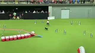 AWC ‘22 - Iwona Golab & SeeYa - 2nd place - Agility Team