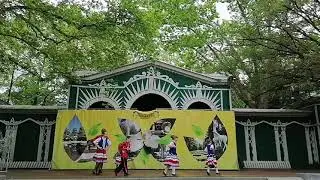 Казачья плясовая