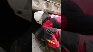 Спасение собаки из коллектора #мчсроссии #службаспасения #спасатели #помощьживотным #псп #чп #чс