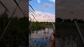 ОХОТА НА УТКУ ЛУЧШИЕ МОМЕНТЫ 