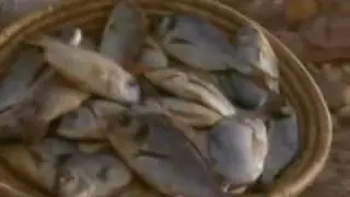 John's Gospel- Feeding 5000