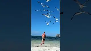 Cayo Coco (Cuba) Beach