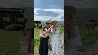 you have to stay at this spa/hotel in Charlevoix, Quebec! 🐮🌼🌾 #quebec #dailyvlogging