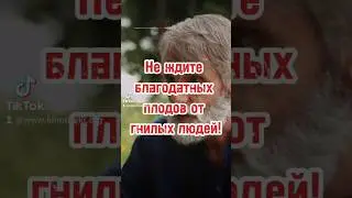 фильм «СТЕША» 