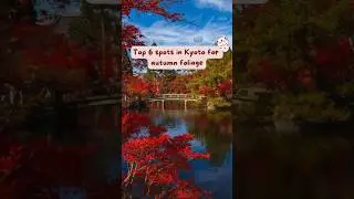 Top 6 spots in #kyoto for #autumn foliage. #bucketlist #traveltips #japan #fall #vacation #shorts