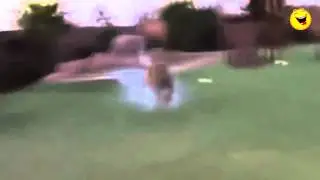 videoplayback 2 cut part5