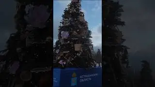Москва/ВДНХ/Найди елку своего региона/Новый 2024 год/елки России часть 4