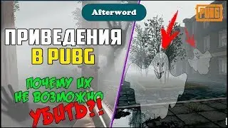 Бессмертное приведение в PUBG