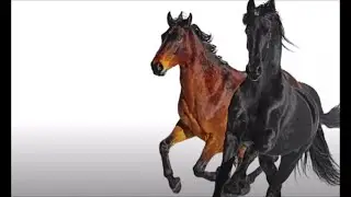 [FREE] Lil Nas X Type Beat - 