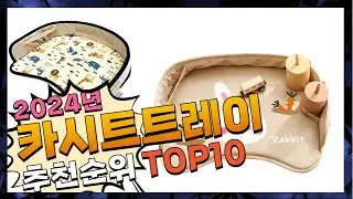 지금 사야 할 카시트트레이! 2024년 추천 Top10!
