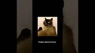 Вот так и нужно с ними разговаривать 🤣🤣🤣 ЛУЧШИЕ ТИКТОК 