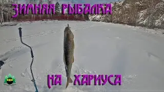 Зимняя рыбалка на хариуса