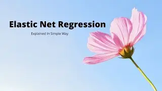 Lecture-35: Elastic Net Regression (Theory)