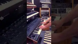 My new EP comes out August 16! Here’s a few synths you will hear on it #synthesizer #musicproduction