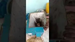 Machine a décortiquer le pistache sans casse 