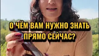 О чём вам нужно знать прямо сейчас?