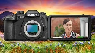 All I Want is the Perfect Camera