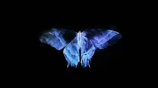 ✧free ✧ 2hollis x Platina x  Ken Carson Type Beat- "BLACKFLOWER"