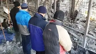 Донецький аеропорт. Полонені українські військові дістали тіла своїх побратимів