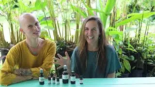 Essential Oils for Pain Relief!