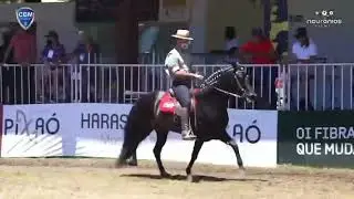 EVEREST DE PASSA TEMPO - CENTRAL DE COBERTURAS - MANGALARGA MARCHADOR
