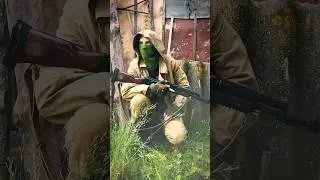 Новичков в зоне что собак 