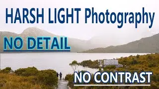 Pro Tips For Harsh Light Photography