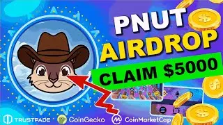 Peanut the Squirrel (PEANUT) AIRDROP $500 | Viral Solana Meme with Utility Nuts 🥜🚀
