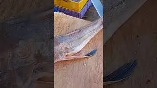 ١١ مارس ٢٠٢٣