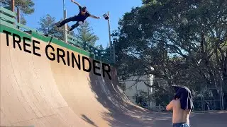 Tree grinder