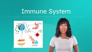 Immune System - Biology for Teens!