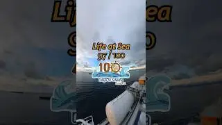 #097 Ship in Panama Canal #panama #shorts #youtube