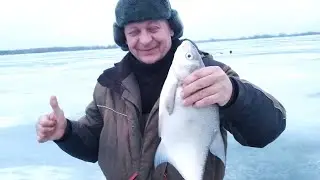 ветерок 2018