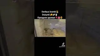 На празднике урожая👩‍🌾