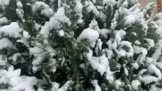 Challenge weather