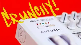 Arturia Microbrute: Analog Synth for Beginners!