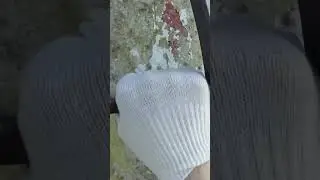 Залаз
